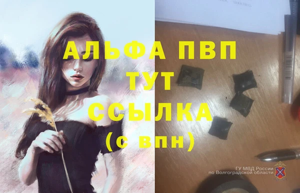 трава Дмитров