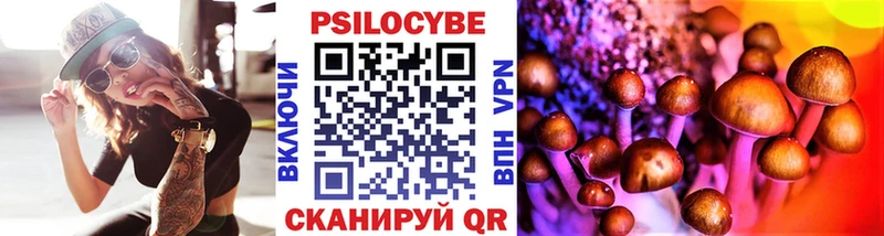 Псилоцибиновые грибы Psilocybe  Бердск 