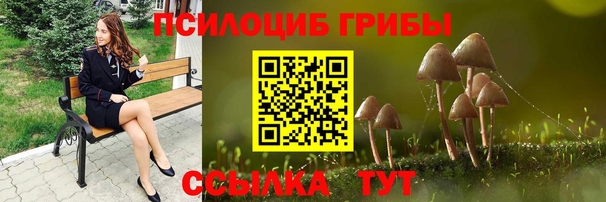 Бердск  Псилоцибиновые грибы мухоморы  Вход с VPN  Галлюциногенные грибы Cubensis 